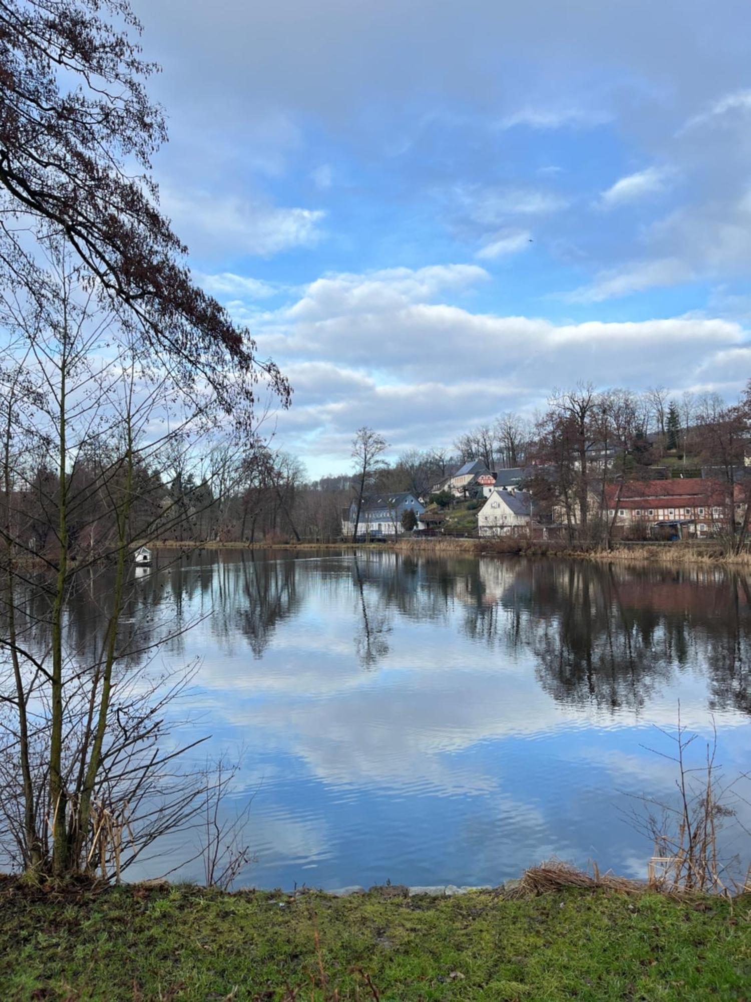 Ferienwohnung Idyll Am Weigsdorfer Teich Cunewalde Zewnętrze zdjęcie